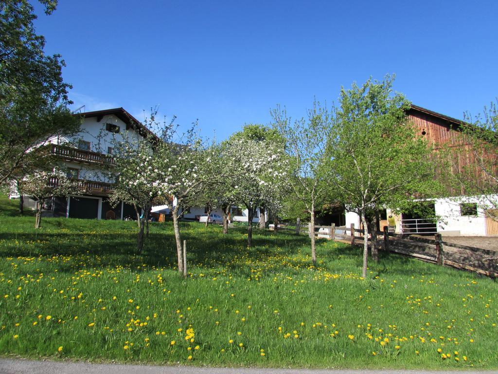 Ferienhof Breitenbaumer Spital Am Pyhrn Bagian luar foto